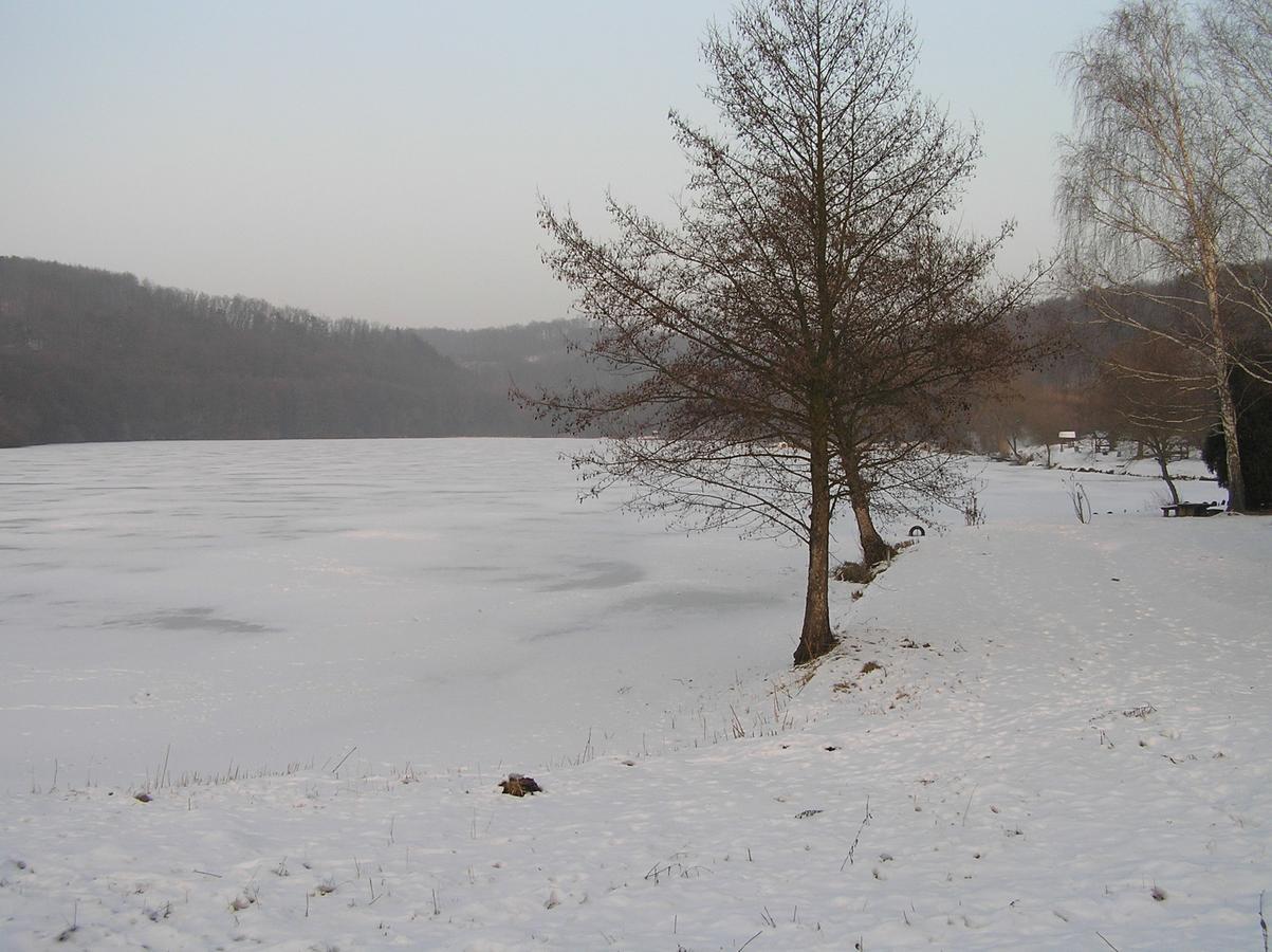 Kovacsszenaja Vendeghaz Villa Exteriör bild